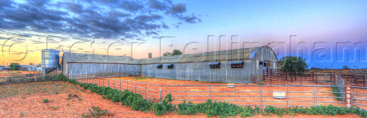 Peter Bellingham Photography Bucklow Station - Woolshed - NSW (PB5D 00 2703)